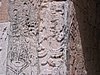 IMG_0954.jpg