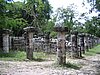 IMG_0965.jpg