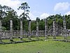 IMG_0966.jpg