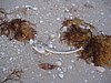IMG_0986.jpg