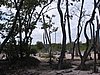 IMG_0987.jpg