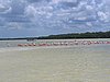 IMG_0993.jpg