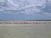 IMG_0994.jpg
