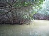 IMG_0998.jpg