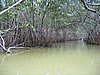 IMG_1000.jpg