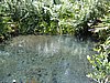 IMG_1004.jpg
