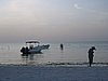 IMG_1010.jpg