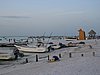 IMG_1011.jpg
