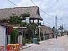 IMG_1016.jpg