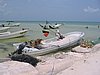 IMG_1017.jpg