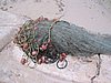 IMG_1018.jpg