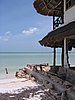 IMG_1020.jpg