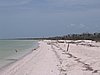 IMG_1021.jpg