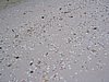 IMG_1026.jpg