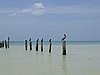 IMG_1027.jpg