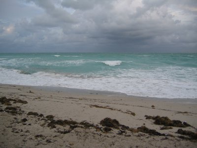 IMG_0654.jpg