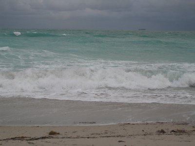 IMG_0656.jpg