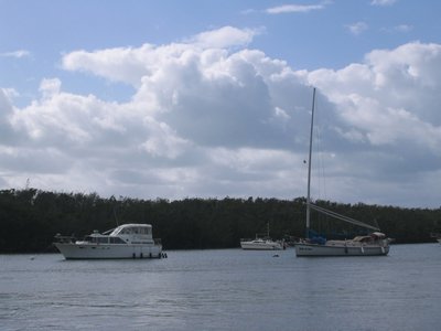 IMG_0659.jpg