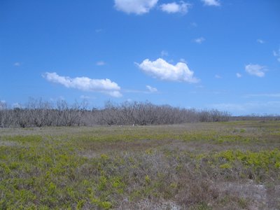 IMG_0663.jpg