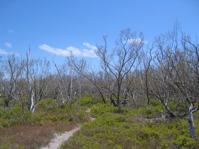 IMG_0665.jpg