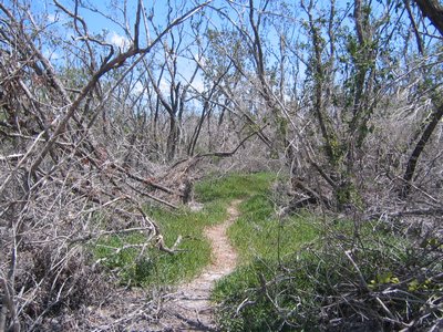 IMG_0666.jpg