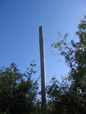 IMG_0676.jpg