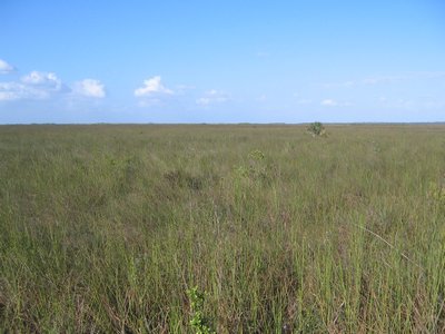 IMG_0678.jpg