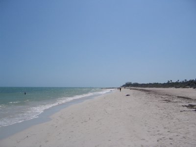 IMG_0679.jpg