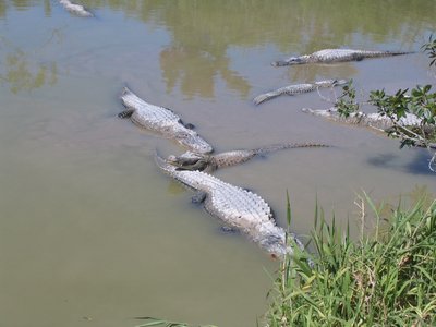 IMG_0698.jpg