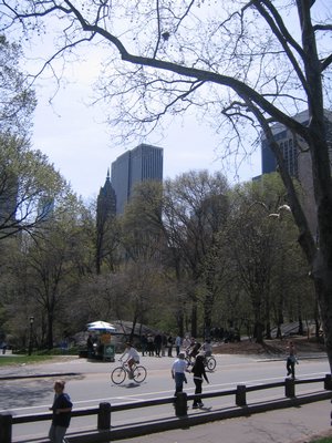 IMG_0706.jpg