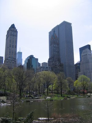 IMG_0708.jpg