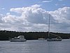 IMG_0659.jpg