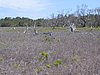 IMG_0670.jpg