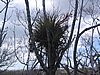 IMG_0671.jpg