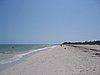 IMG_0679.jpg