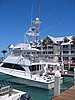 IMG_0691.jpg