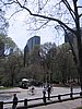 IMG_0706.jpg