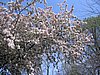IMG_0709.jpg