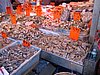 IMG_0730.jpg