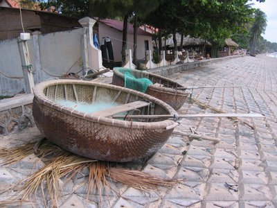 IMG_1377.jpg