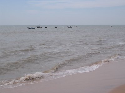 IMG_1378.jpg