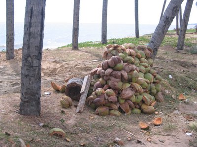IMG_1391.jpg