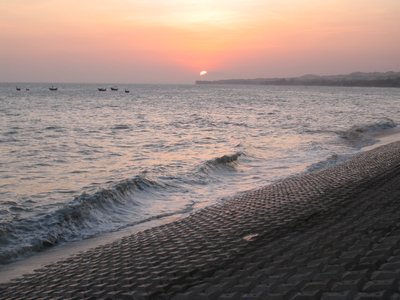IMG_1395.jpg