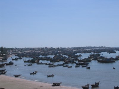 IMG_1401.jpg