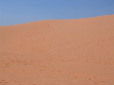 IMG_1405.jpg