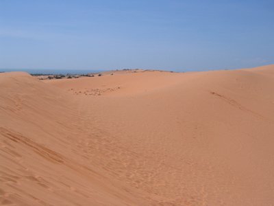 IMG_1408.jpg