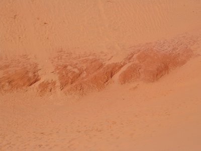 IMG_1409.jpg