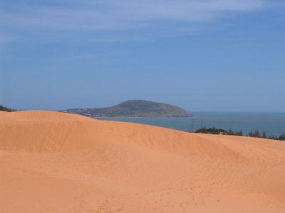 IMG_1410.jpg