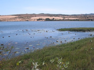 IMG_1420.jpg