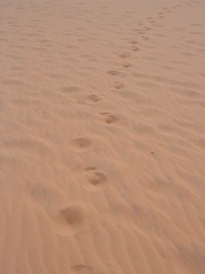 IMG_1421.jpg
